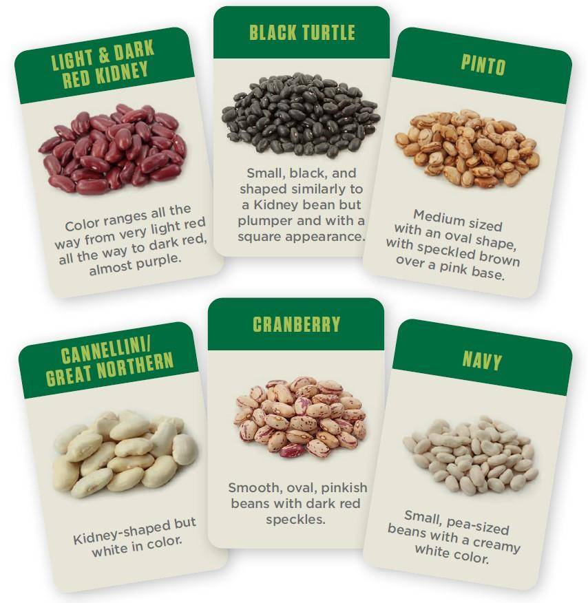 Different types of beans: Light and Dark Red Kidney, Black Turtle, Pinto, Cannellini/Great Northern, Cranberry, and Navy