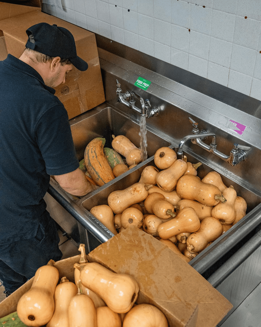 Large amount of squash being washed in a commercial kitchen sink